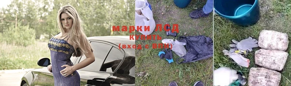 твердый Бородино