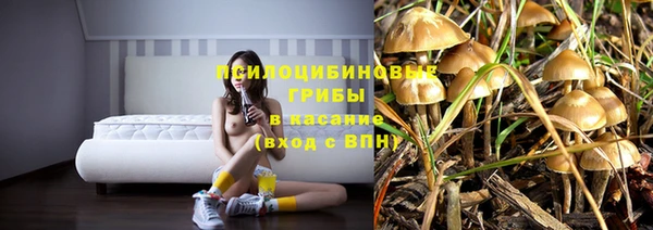 ALPHA PVP Верхнеуральск